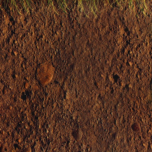 Torpaq