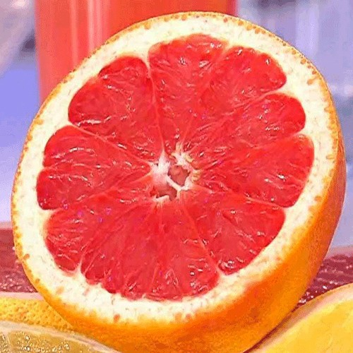 Grapefruit