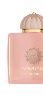 Amouage Guidance