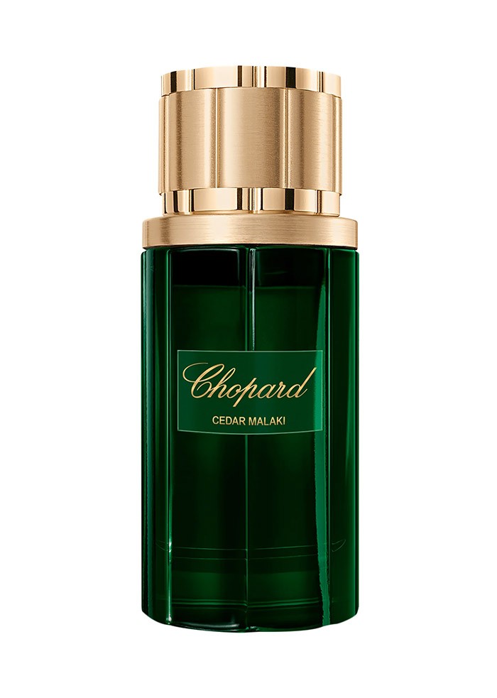 Chopard Cedar Malaki
