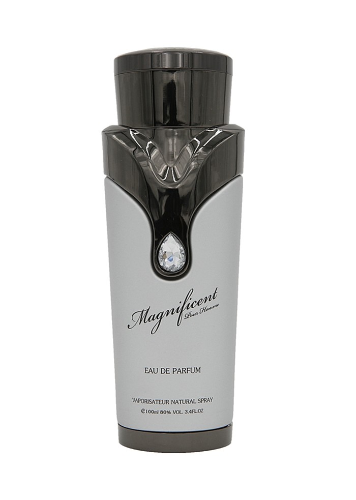 Armaf Magnificent Pour Homme