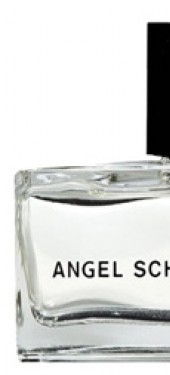 Angel Schlesser Angel Schlesser Homme