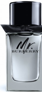 Burberry Mr. Burberry