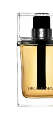 Christian Dior Dior Homme