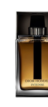 Christian Dior Dior Homme Intense