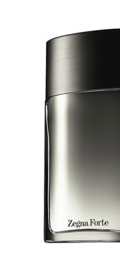 Ermenegildo Zegna Zegne Forte