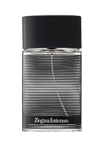 Ermenegildo Zegna Zegna Intenso