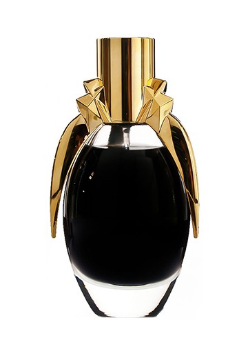 Lady Gaga Fame