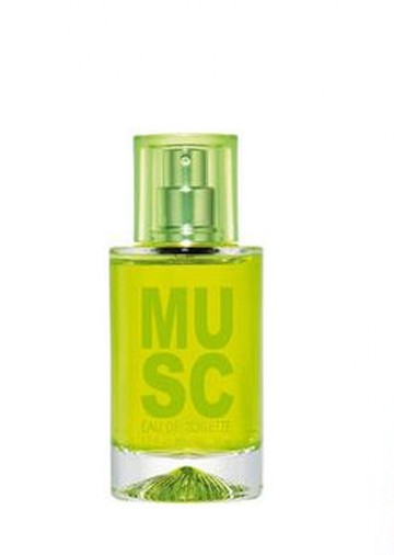 Solinotes Musc