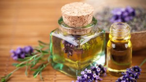 Perfume compositions or how my favourite perfume is made?