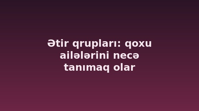 Ətir qrupları: qoxu ailələrini necə tanımaq olar