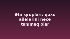 Ətir qrupları: qoxu ailələrini necə tanımaq olar
